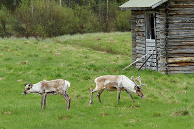 BUITEN BEELD Foto: 173769