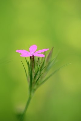 BUITEN BEELD Foto: 173798