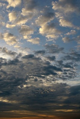 BUITEN BEELD Foto: 173842