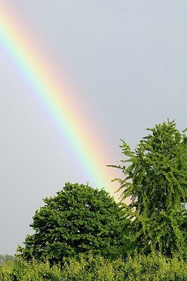 BUITEN BEELD Foto: 173851