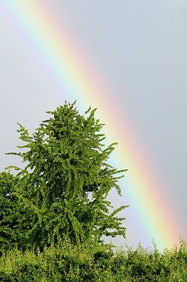 BUITEN BEELD Foto: 173852
