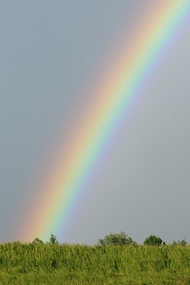 BUITEN BEELD Foto: 173853