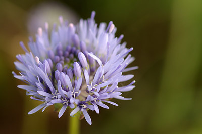 BUITEN BEELD Foto: 173860