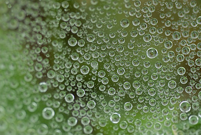 BUITEN BEELD Foto: 173877
