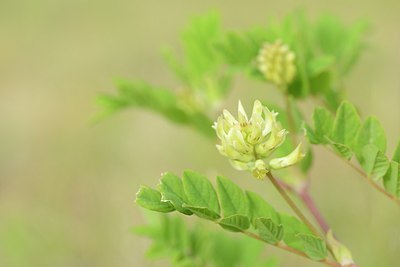 BUITEN BEELD Foto: 173882