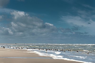 BUITEN BEELD Foto: 173898