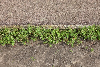 BUITEN BEELD Foto: 173908