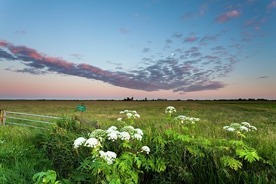BUITEN BEELD Foto: 173928