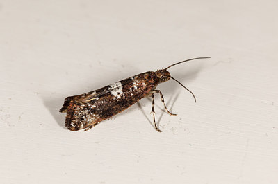 BUITEN BEELD Foto: 173939