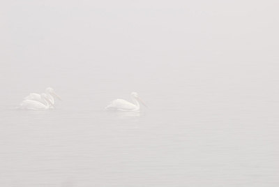 BUITEN BEELD Foto: 173997