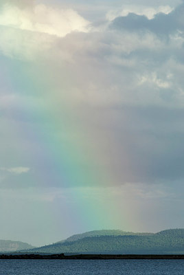 BUITEN BEELD Foto: 174003