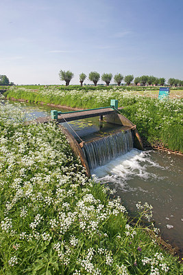 BUITEN BEELD Foto: 174039