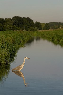 BUITEN BEELD Foto: 174142