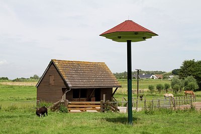 BUITEN BEELD Foto: 174151