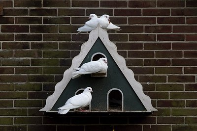 BUITEN BEELD Foto: 174157