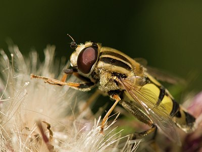 BUITEN BEELD Foto: 174195