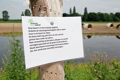 BUITEN BEELD Foto: 174197