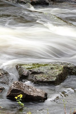 BUITEN BEELD Foto: 174209