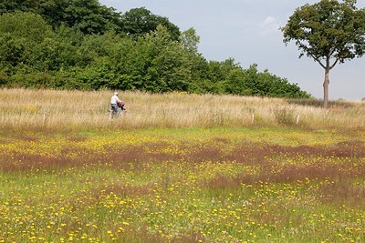 BUITEN BEELD Foto: 174301