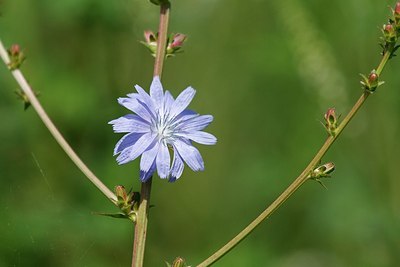 BUITEN BEELD Foto: 174324