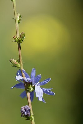 BUITEN BEELD Foto: 174330