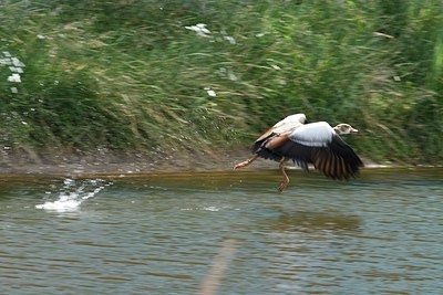 BUITEN BEELD Foto: 174349