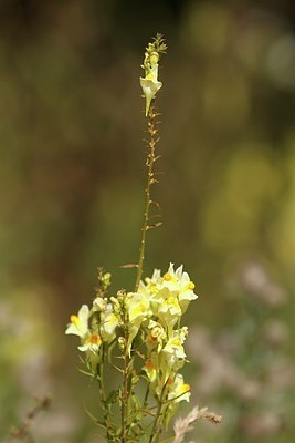 BUITEN BEELD Foto: 174357