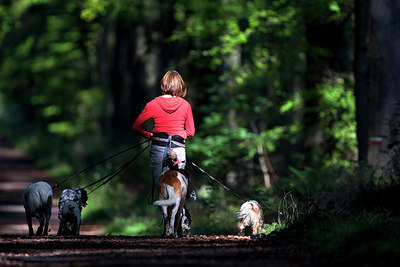 BUITEN BEELD Foto: 174368