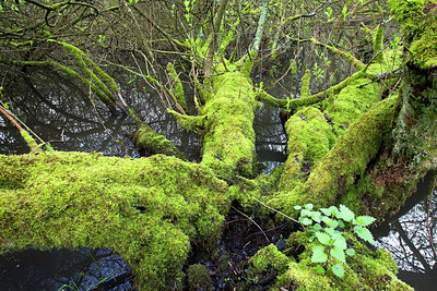 BUITEN BEELD Foto: 174375