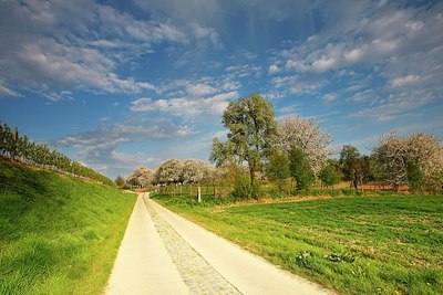 BUITEN BEELD Foto: 174386