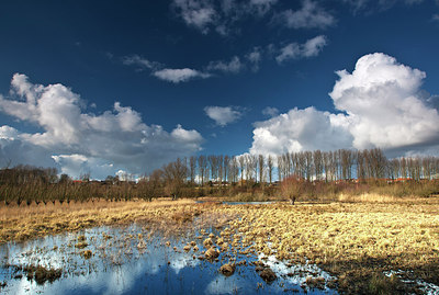 BUITEN BEELD Foto: 174408