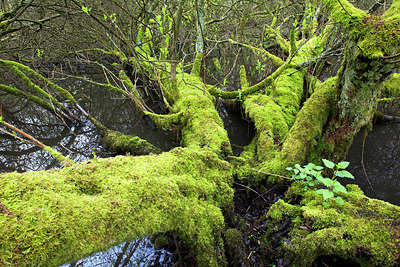 BUITEN BEELD Foto: 174438