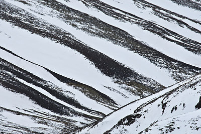 BUITEN BEELD Foto: 174481