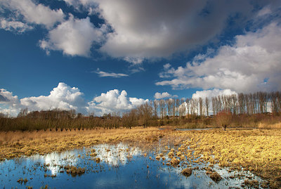 BUITEN BEELD Foto: 174487