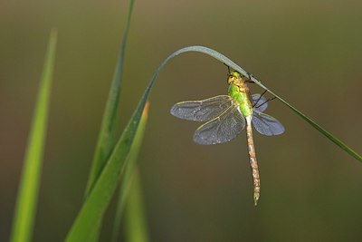 BUITEN BEELD Foto: 174521