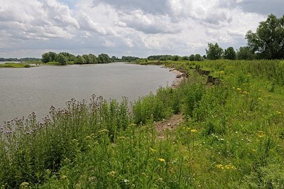 BUITEN BEELD Foto: 174578