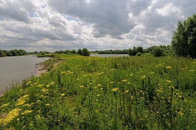 BUITEN BEELD Foto: 174599