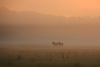 BUITEN BEELD Foto: 174665