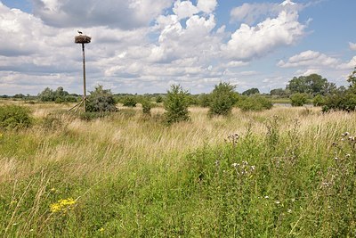 BUITEN BEELD Foto: 174726