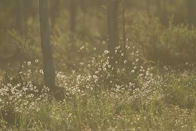 BUITEN BEELD Foto: 174747