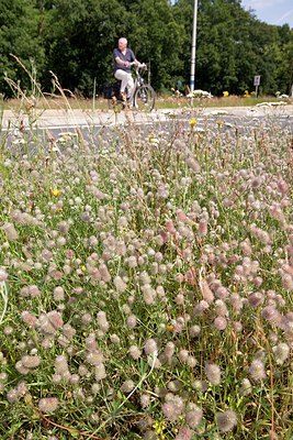 BUITEN BEELD Foto: 174808