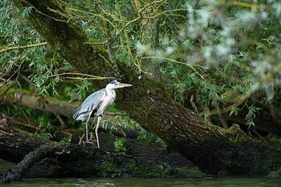 BUITEN BEELD Foto: 174846