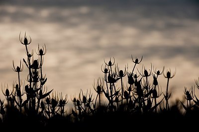 BUITEN BEELD Foto: 174860