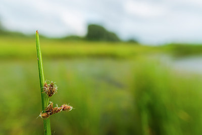 BUITEN BEELD Foto: 174863