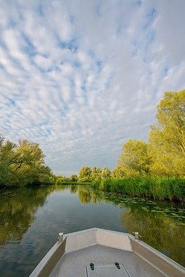 BUITEN BEELD Foto: 174885