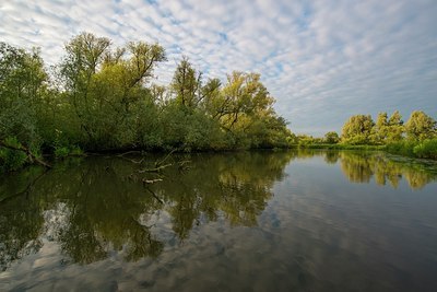 BUITEN BEELD Foto: 174887