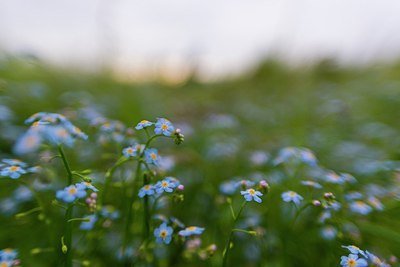 BUITEN BEELD Foto: 174893