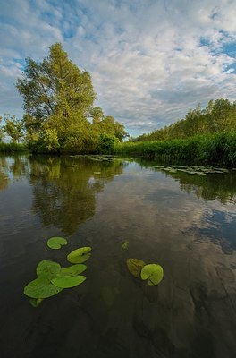 BUITEN BEELD Foto: 174894