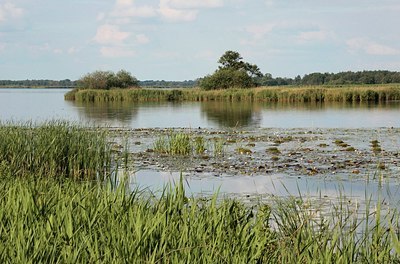 BUITEN BEELD Foto: 174960