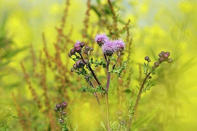 BUITEN BEELD Foto: 175073